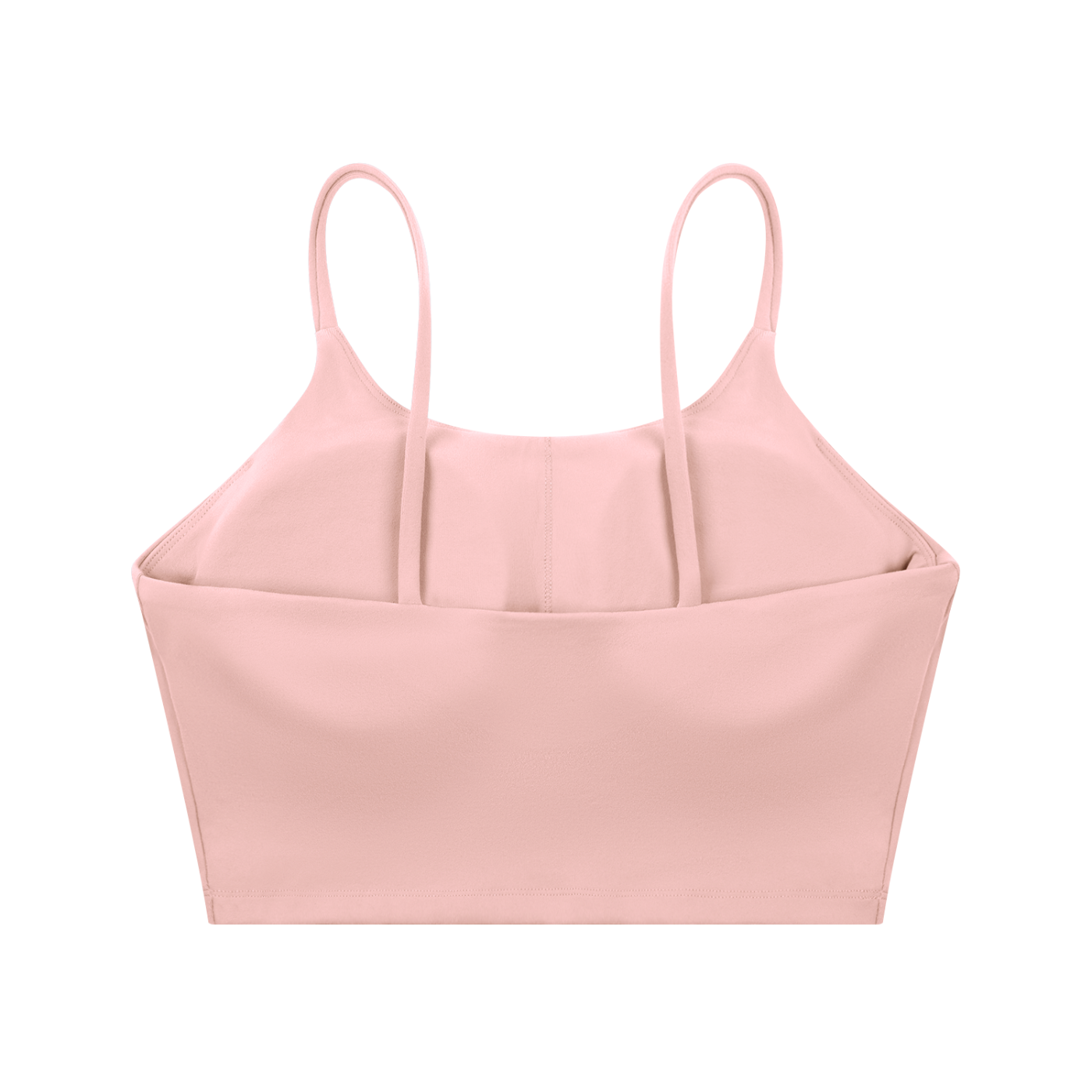Longitude Sports Bra